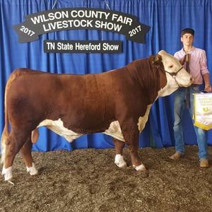 Meet your Posher, Drew